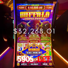 5905 bet,5905.com bet